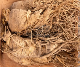 Ginseng