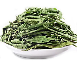 stevia leaf