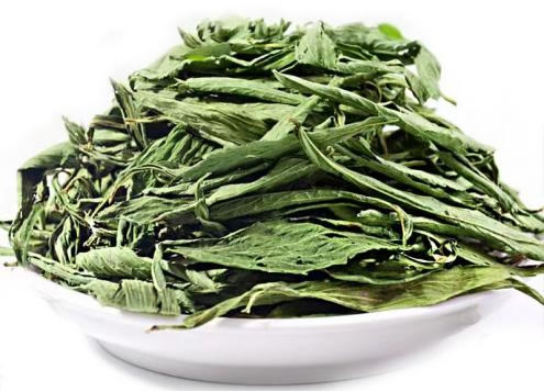 stevia leaf